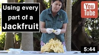 Jackfruit Tree  Using Every Part of the Fruit [upl. by Bloxberg]