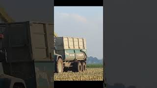 Efficient Power in Silage Harvesting on Dairy Farms 🌽 [upl. by Aurie259]