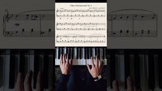 Valse Sentimentale No 2 in G Minor piano composer soundtrack [upl. by Dianthe400]