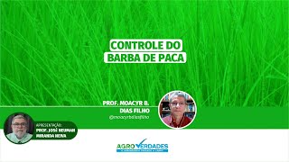 Controle do Barba de Paca [upl. by Anselm]