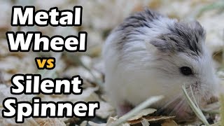 Silent Spinning Hamster Wheel Test [upl. by Assenad797]