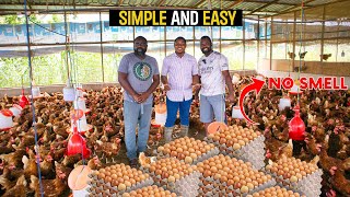 How To Start a Successful Poultry Farm as a BEGINNER in Ghana poultry poultryfarm poultryfarming [upl. by Comptom]