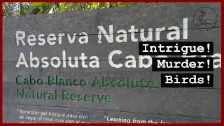 The Surprisingly Dark History of Cabo Blanco Costa Rica and some birding of course [upl. by Eldridge652]