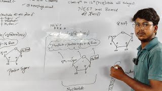 molecular basis of inheritance Class 12th chapter 6 [upl. by Callas]