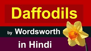 Daffodils by William Wordsworth in Hindi  i wandered lonely as a cloud in hindi [upl. by Webster]