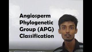 Angiosperm Phylogenetic Group APG Explained Part I [upl. by Asilanna]