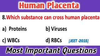 Human Placenta  embryology  developmental biology  general embryology mcq [upl. by Darees]