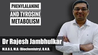 4 Phenylalanine and tyrosine metabolism [upl. by Ennaeilsel]