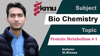 Chap10  Part1  Metabolism of Protein  BSN and Paramedic UrduHindi with solve MCQS [upl. by Joelly]