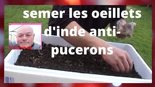 que faire au jardin en mars semer les oeillets dinde contre les pucerons [upl. by Paddie]