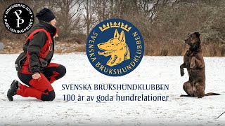 Svenska Brukshundklubben  100 år av goda hundrelationer [upl. by Renard]