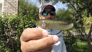 DOA PT7 Weedless Topwater Lure Review [upl. by Lennard]