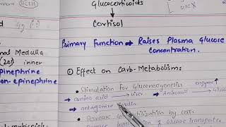 Physiological functions of adrenocortical hormones part 2 functions of cortisol [upl. by Haletta]