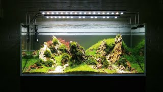 FAAO Aquascaping plantedaquarium Update  Aquaflora 300L showtank  Dragon rock [upl. by Dreda]