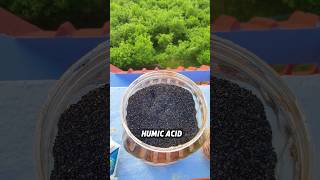 5 Essential Fertilizers amp Pesticides for a Thriving Garden 🌱✨ PlantCare OrganicGardening [upl. by Gerek]