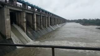 Matrikundiya dam 8 gates still open on Wednesday by Ravindra Puri [upl. by Angelina37]