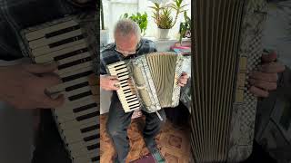 Accordion Rhuthmus 34 accordion 80 Bass 34 keys 3 voices 53 register Germany accordion SALE [upl. by Annoved]