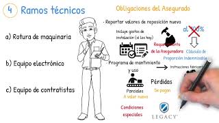 Seguro Empresarial [upl. by Kerwin]