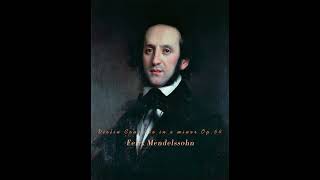 Felix Mendelssohn Violin Concerto in e minor Op64 classicalmusic 커피타임 산책 mendelssohn violin [upl. by Auerbach]