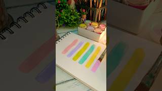 Fevicryl Multi Surface Pastel Acrylic Colours Kit from flipkart।flipkart unboxing review shorts [upl. by Eilyab]