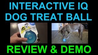 OurPets Interactive IQ Treat Dispenser Ball Dog Toy  Review and Demo [upl. by Kcirddot622]