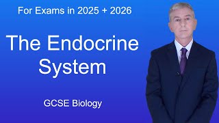 GCSE Biology Revision quotThe Endocrine Systemquot [upl. by Ennayehc]