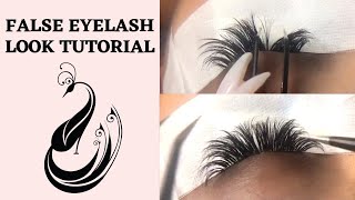 How to get False Eyelash Strip Eyelash Look  Eyelash Extensions Tutorial  Hand Made Fans ft Bia [upl. by Dusza235]