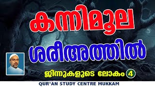 കന്നിമൂല ശരീഅത്തിൽ  ജിന്നുകളുടെലോകം Part  4  Rahmathulla qasimi  03112024 [upl. by Naneik832]