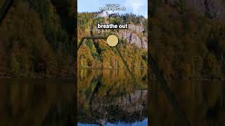 Guided Breathing for Anxiety 4444 breathingforanxiety breathing relaxing breathingexercise [upl. by Eustis]