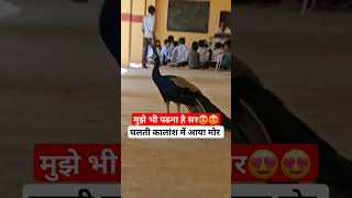 🦚मोर आया स्कूल 😍😱shorts peacock school naniterimorni viral hindirhymes [upl. by Losse]