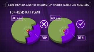 Explaining Herbicide Resistance Herbicide modes of action [upl. by Margetts]