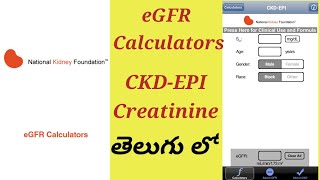 e GFR Equation test Process In Telugu  CKDEPI Creatinine [upl. by Nibbs817]