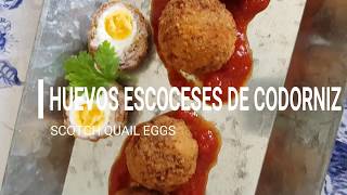 HUEVOS ESCOCESES DE CODORNIZ RECETA FÁCIL PARA NAVIDADPEPAS BAKERY [upl. by Nyrmak]