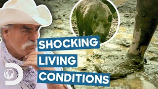 Most SHOCKING Homestead Living Conditions  Homestead Rescue [upl. by Tecla730]