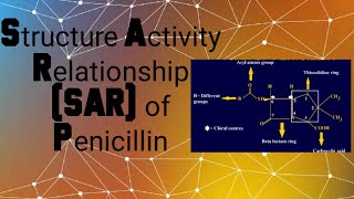 SAR of Penicillin Structure Activity Relationship [upl. by Wootan]