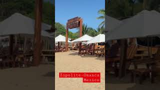 Zipolite Oaxaca Mexico [upl. by Nillek465]