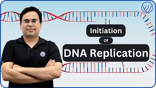 INITIATION OF DNA REPLICATION  ENZYMES IN DNA REPLICATION INITIATION  MOLECULAR BIOLOGY CSIR NET [upl. by Morrill]