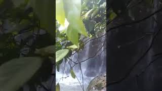 Lokasi wiata air terjun linggar kawan [upl. by Ulund316]