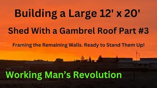 Building a Large 20 x 12 Shed with Gambrel Roof Part 3 Building the remaining 3 walls [upl. by Norvin621]