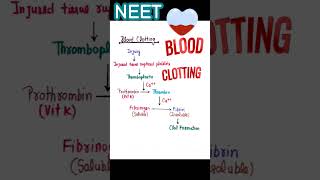 BLOOD CLOTTING  FACTOR  MECHANISM bloodclotting shorts neet [upl. by Tedric]