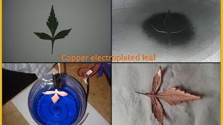 How to Make an Electroplated leaf medalion  DIY Orbit1 replication [upl. by Yatnoed]