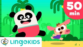 ACTION SONGS FOR KIDS 🙌🎶 Nursery Rhymes  Lingokids [upl. by Niuq]