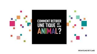 Comment Enlever Tique dun Chat avec TireTique Frontline Pet Care  Vetostore [upl. by Aliek404]