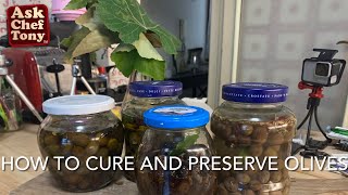 How to cure and preserve olives [upl. by Noemys]