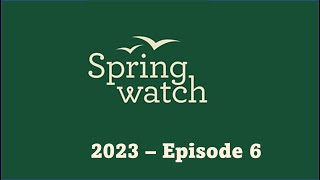 Springwatch 2023 Episode 6 [upl. by Gilman]