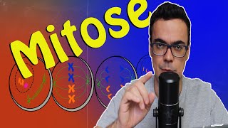 Divisão Celular  Mitose Prófase Metáfase Anáfase e Telófase [upl. by Clayborn789]