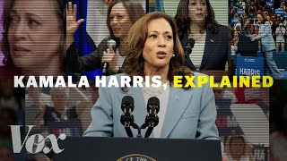 Kamala Harris explained in 7 moments [upl. by Avigdor]