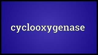 Cyclooxygenase Meaning [upl. by Helga698]