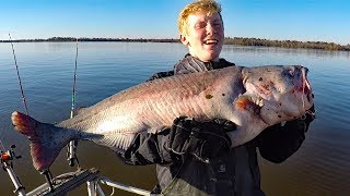 How to catch catfish in a river  fishing for big catfish bait rods reels rigs [upl. by Eeslehc]