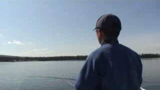 Fishing with Rod Rainbow Trout at Leighton Lake [upl. by Agrippina437]